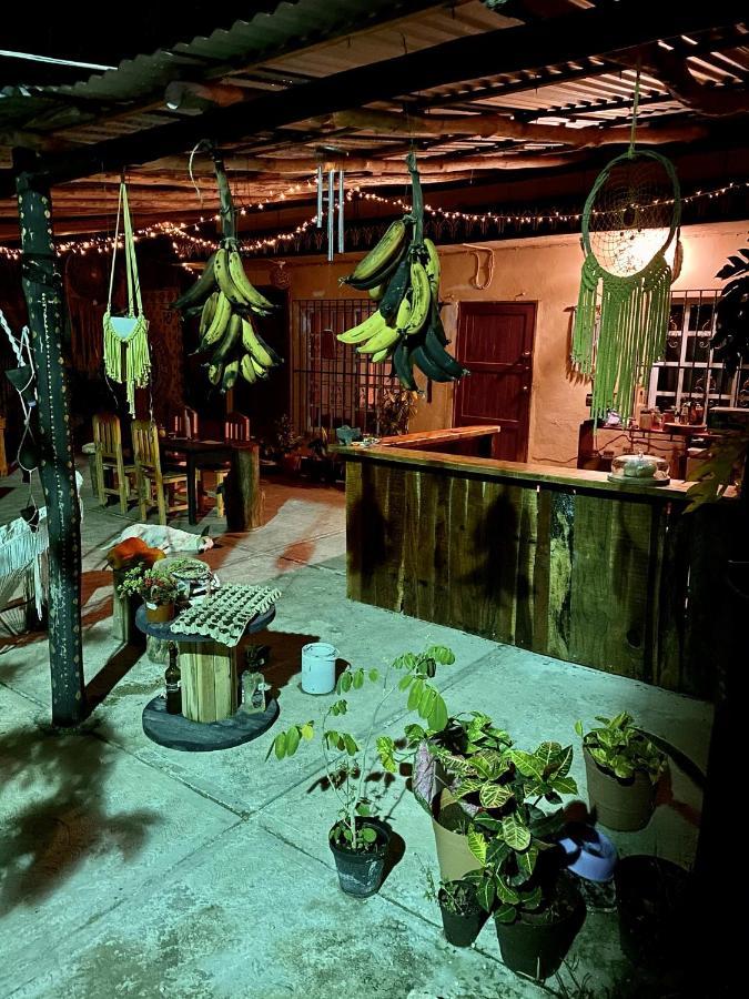 Jungla Bacalar/ Casa Jaguar Appartement Buitenkant foto