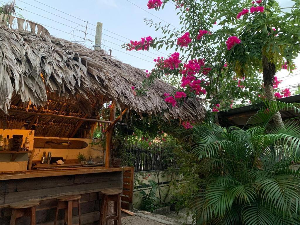 Jungla Bacalar/ Casa Jaguar Appartement Buitenkant foto